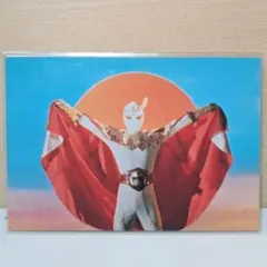 2026年最新】コンドールマンの人気アイテム - メルカリ