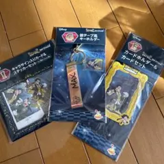ディズニー アイドル MAX キーホルダー カードホルダー ステッカー セット