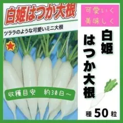 Kanan様 リクエスト 3点 まとめ商品