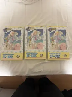 新品未開封 リーリエ コレクションファイルセット