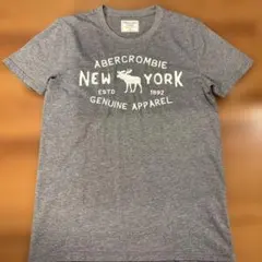 Abercrombie & Fitch アバクロ　 グレー Tシャツ XS