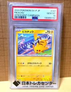 ピカチュウ：ジムイベント PROMO SV-Pプロモカード 197/SV-P