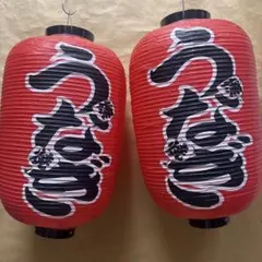 12号型うなぎ提灯 2個セット