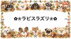 専用