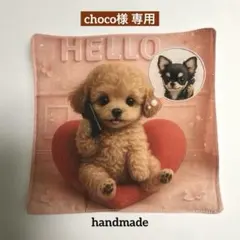 choco様 リクエスト 2点 まとめ商品