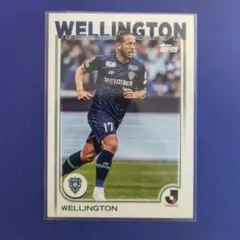 Wellington Avispa Fukuoka トレーディングカード