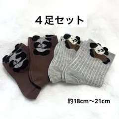 キッズ　ベビー　靴下　くまといぬ　4足セット