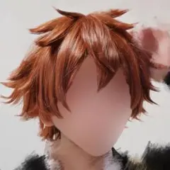 2026年最新】ツイステ エース ウィッグの人気アイテム - メルカリ