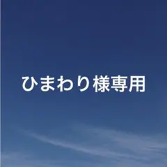 ひまわり様 リクエスト 2点 まとめ商品