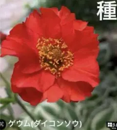 uqb様 リクエスト 3点 まとめ商品