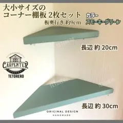 コーナーシェルフ 大小 2枚セット スモーキーグリーン 棚 ウォールラック 家具