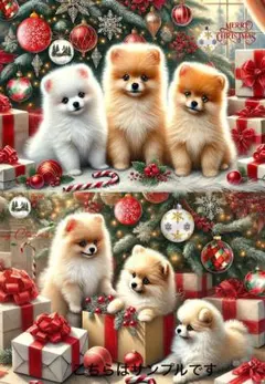 パネル生地 犬 ポメラニアン クリスマス