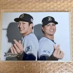 Item thumbnail for item 07ffdb09-4bc3-4d70-8080-b2b7d375302e