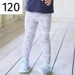 Item thumbnail for item ddd19800-e159-4424-9dec-0323b040e106