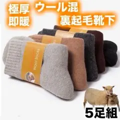 【５足入】レディース メンズ 靴下 裏起毛 ウール 極暖 防寒 温かい靴下 厚手