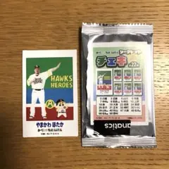 福岡ソフトバンクホークス クレヨンしんちゃん チェキ 山川穂高