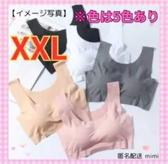 シームレスブラ　ノンワイヤーブラ　XXLサイズ　ナイトブラ　スポーツブラ　2枚