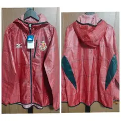 Item thumbnail for item 63a311e8-ac38-4c98-9260-cb7c7e7cbbaa