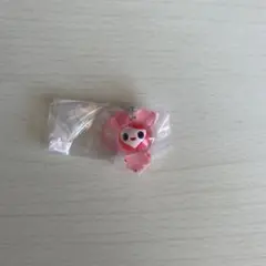 TWICE LOVELYS めじるしアクセサリー　チェヨン