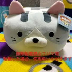 新品 ごろねこサミット 第14回おうち代表ねこ会議 ハシモトのサムネイル