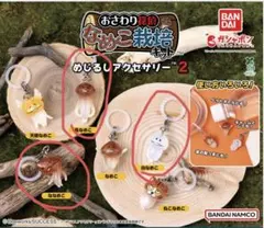 なめこ栽培キット めじるしアクセサリー 2 3個セット