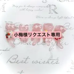 リクエスト専用　苺　お花　猫　5個セット