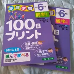 家庭学習 6年生 100日プリント 前半 後半セット
