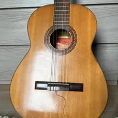 Wealth Guitar アコースティックギター 本体のサムネイル