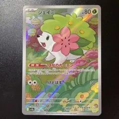 コロ助様 リクエスト 2点 まとめ商品