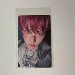 &TEAM HARUA ハルア トレカ