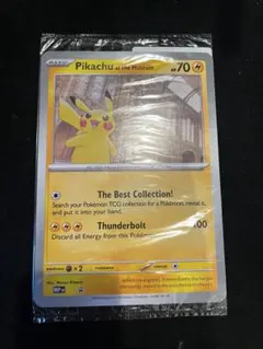 Pikachu at the Museum ピカチュウ ロンドンのサムネイル