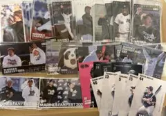 千葉ロッテマリーンズ カードまとめ