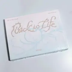 【完全新品未開封】&TEAM Back to Life Mini CD-R