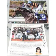 【競馬】キタサンブラック グッズセット
