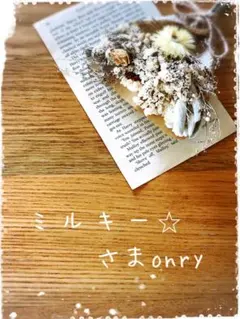 ＊ミルキー⭐︎さま専用＊《訳あり》coenTシャツ