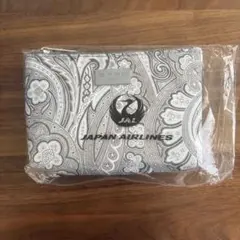 JAL X エトロ　ビジネスクラスアメニティポーチ