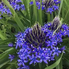 おけい様 リクエスト 2点 まとめ商品