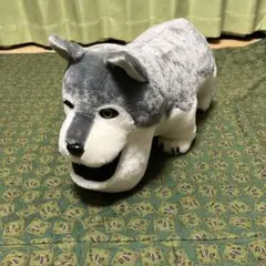 シャクレルオオカミ　BIG ぬいぐるみのサムネイル