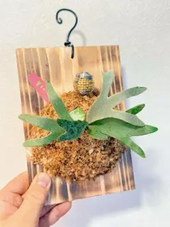 2025年最新】JeNny tcの人気アイテム - メルカリ