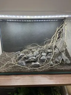 ご*郎様 水槽用流木 自身で楽しめる 60cm水槽に丁度いい量です