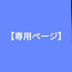 【みさりん様専用ページ】StrayKids ブランケット Foxl.Ny