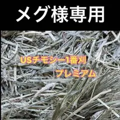 メグ様専用