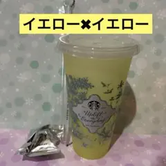 スタバ2026ミステリーカラーチェンジングリユーザブルコールドカップ ベアリスタ