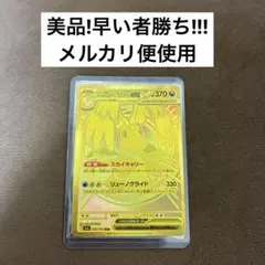 2026年最新】メガカイリューmurの人気アイテム - メルカリ
