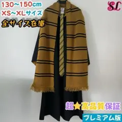 Item thumbnail for item f1e11261-699d-472d-8589-64973245f541