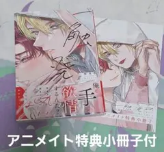 一触発熱　Arinco アニメイト特典小冊子付 BLコミック