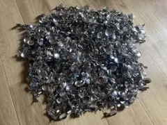 Item thumbnail for item 2a206ffa-3642-4018-a976-c2dfa0955dd3