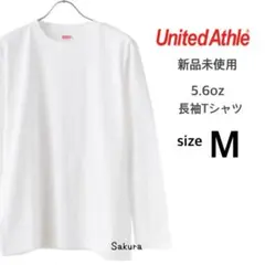 Item thumbnail for item 9c9383d5-65f3-4271-8ab0-19b6a2f9cc22