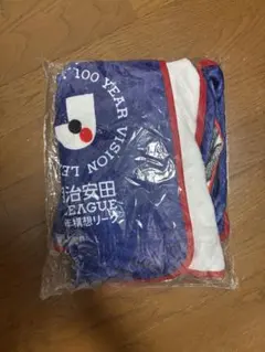 FC東京 Jリーグ創立100周年記念フリース