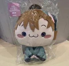 忍たま乱太郎　善法寺伊作　もちぴこBIGぬいぐるみ　フリューくじ